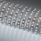 NOBILE ITALIA - NOB70002/F STRIP 5M 4,8W/M 120LED/M 6K IP20 24V