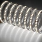 NOBILE ITALIA - NOB80360/90/2700K STRIP 5M 25W/M 238LED/M 2,7K 24V