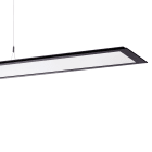 PERFORMANCE IN LIGHT - PRI3120885 SL713+ PL RXL 61 S/C 830 BK9005 DALI MP