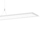 PERFORMANCE IN LIGHT - PRI3112420 SL713+ PL RL 46 S/C 8TW WH9016 BT HCL MP