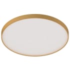 NOVALUX SPA - NOX113114.22 ROTO EVO: 101W 3K D.995 MP ORO