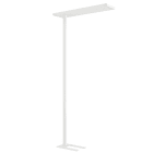 PERFORMANCE IN LIGHT - PRI8726741598310 SMALL SL 57 S/C 830 WH9016 SEIR RE
