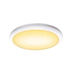 SLV ITALIA SRL - SLV1005090 RUBA 42 CW, PARETE/PLAFONE LED PER ESTER