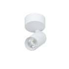 NOVALUX SPA - NOX103103.01 SPYGLASS: PAR. 9W F36 3K CRI90 BI