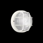 LOMBARDO - LOMLB46121 TARTARUGA TO 200 CON GABBIA E27 75W BIAN