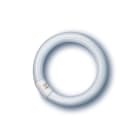 LEDVANCE (RADIUM) - RDML32840CRA NL-T9 32W/840 C G10Q FLH1 RDIUM