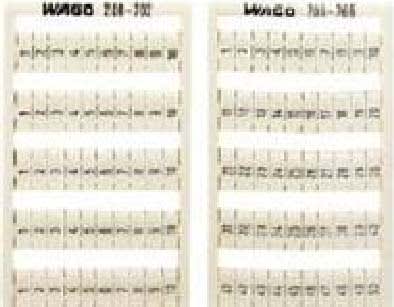 WAGO ITALIA SRL - WAG209-704 SCHEDA DI MARCATURA WSB COME SCHEDA, BIA