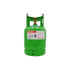 TECNOGAS SRL TGS00000011593 BOMBOLA MONOUSO KG. 5 DETERGENTE PRESURI