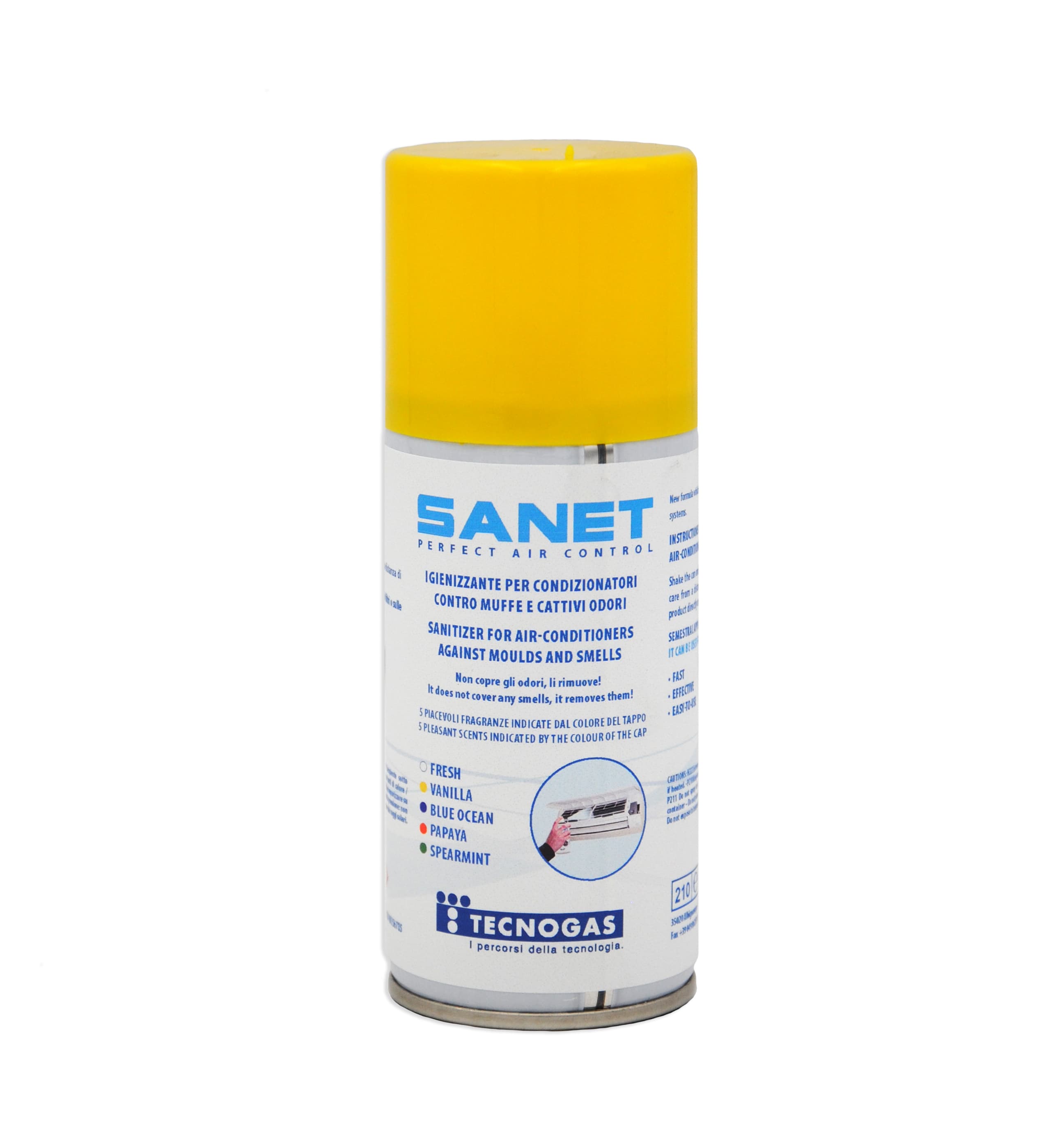 TECNOGAS SRL TGS00000011620 BOMBOLA SANIFICANTE SPRAY DA ML 150 VANI