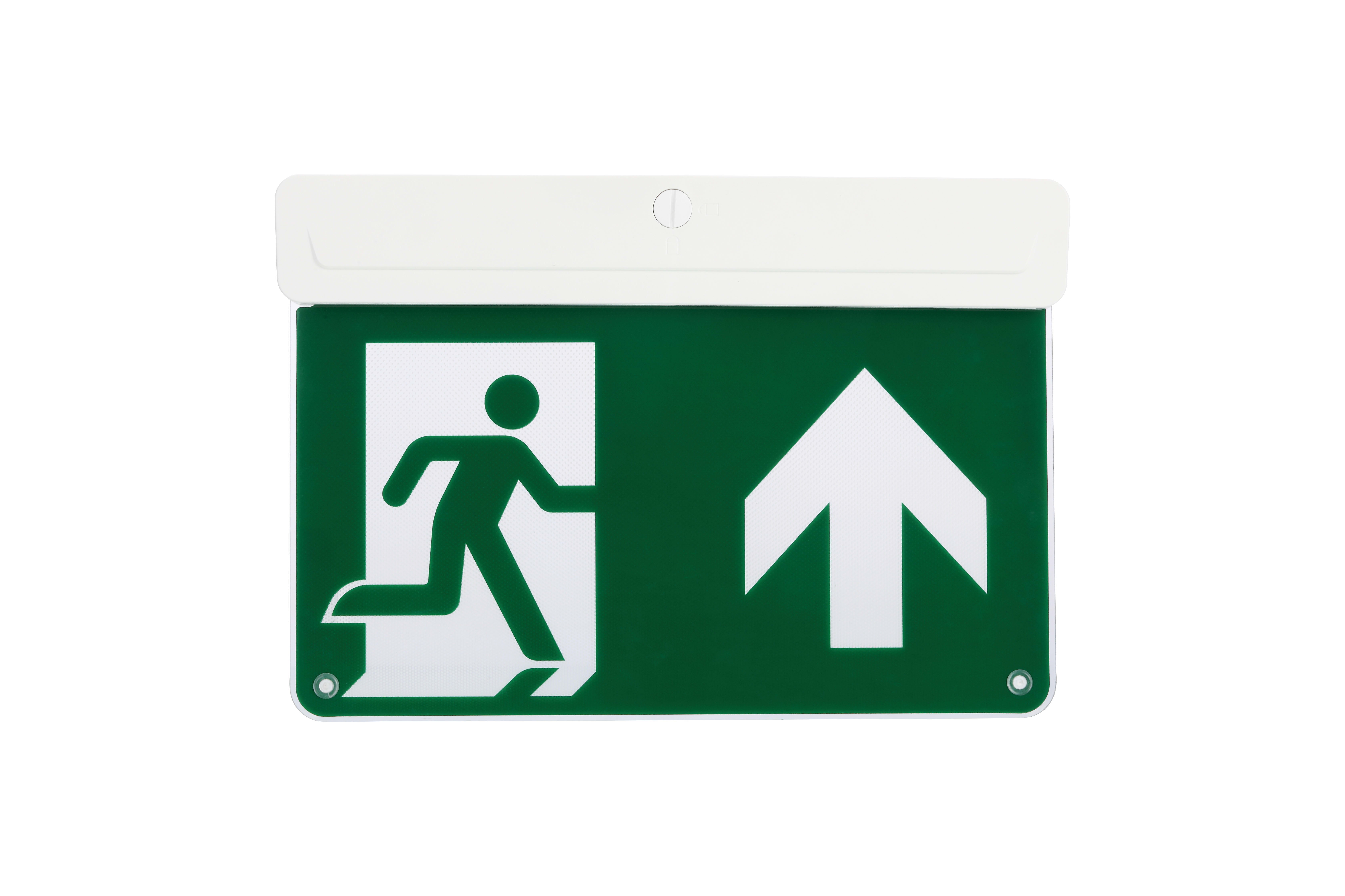 FEILO SYLVANIA ITALY SYL0032018 LIFESAFE MULTIFIX EXIT SIGN EX C EM3NM/M