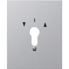 GIRA - GIR009730 Metallabd. + Symbole WG AP Aluminium