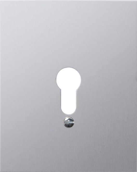 GIRA - GIR009830 Metallabd. o.Symbole WG AP Aluminium