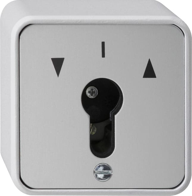 GIRA GIR016330 Schlusseltaster 1-p WG AP Grau