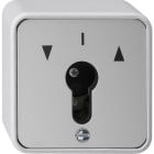 GIRA - GIR016330 PULSANTE A CHIAVE 1 POLO SOPRA INT. PROT