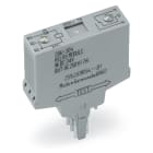 WAGO ITALIA SRL - WAG286-507 REL AC 115V, GRIGIO