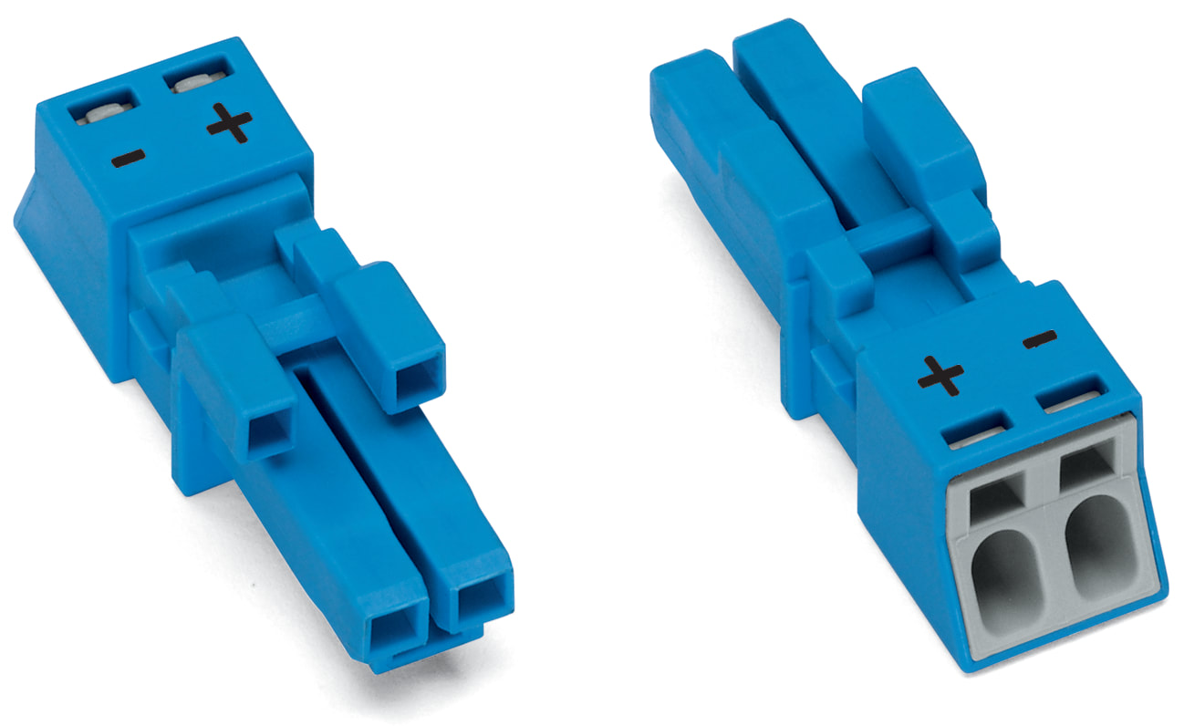 WAGO ITALIA SRL WAG890-1102 PRESA 2 POLI, BLU