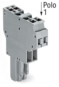WAGO ITALIA SRL WAG769-124 CONNETTORE FEMMINA PER 2 CONDUTTORI CAGE