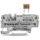 WAGO ITALIA SRL - WAG2002-1681 MORSETTO CON FUSIBILE PER 2 CONDUTTORI P