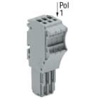 WAGO ITALIA SRL - WAG2020-104 CONNETTORE FEMMINA PER 1 CONDUTTORE PUSH