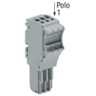 WAGO ITALIA SRL - WAG2020-103 CONNETTORE FEMMINA PER 1 CONDUTTORE PUSH
