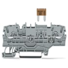 WAGO ITALIA SRL - WAG2002-1981 MORSETTO CON FUSIBILE PER 2 CONDUTTORI P