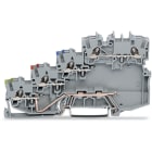 WAGO ITALIA SRL - WAG2000-5417 MORSETTO PER SENSORE PER 4 CONDUTTORI GR