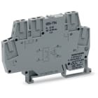 WAGO ITALIA SRL - WAG859-794 OPTO DC 24V, GRIGIO