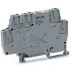 WAGO ITALIA SRL - WAG859-738 OPTO DC 5V, GRIGIO