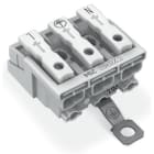 WAGO ITALIA SRL WAG294-4413 CONN PULS EST TERRA VITE 3P 2,5MMQ 85 C
