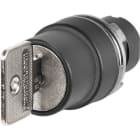 NEW ELFIN SRL - NEW020SCA2 SELETT.CHIAVE 2P CAMMA A NS