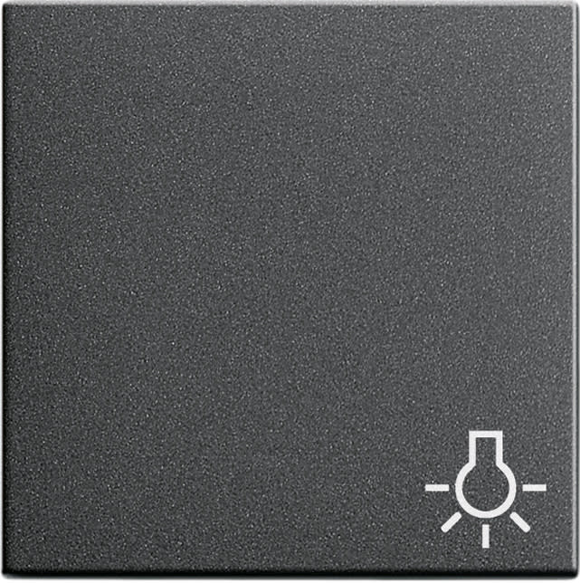 GIRA - GIR028528 Wippe Symb. Licht System 55 Anthrazit