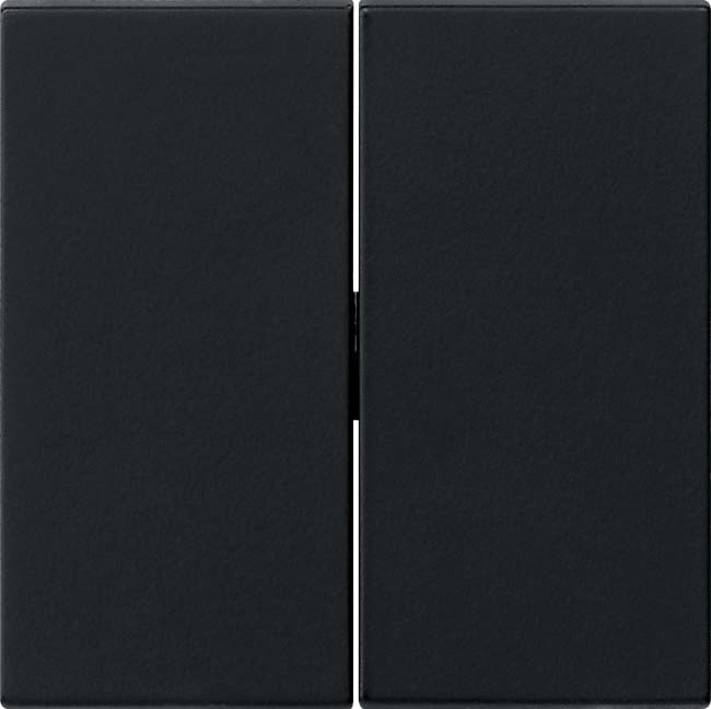 GIRA - GIR0295005 Wippe 2f System 55 Schwarz m