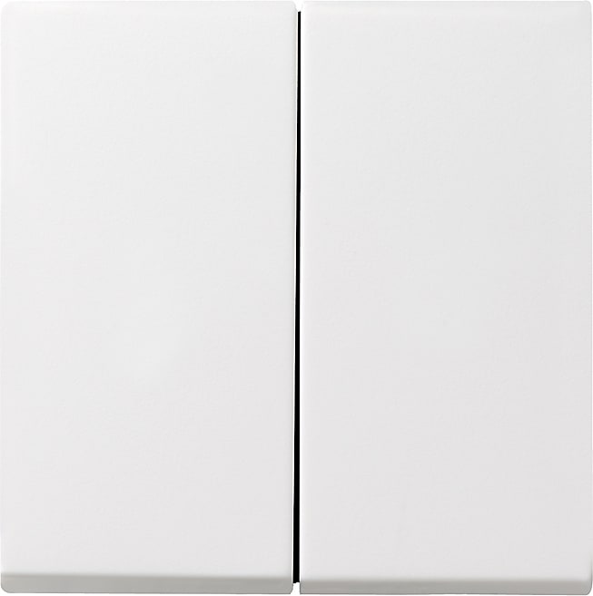 GIRA GIR029503 Wippe 2f System 55 Reinweiss