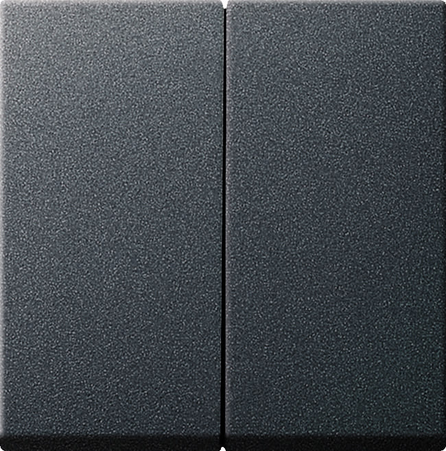 GIRA - GIR029528 Wippe 2f System 55 Anthrazit