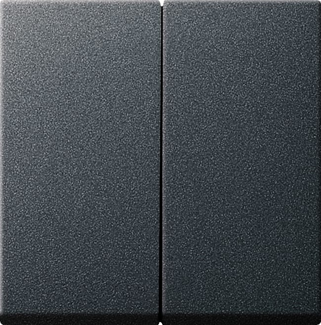 GIRA GIR029528 Wippe 2f System 55 Anthrazit