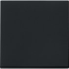 GIRA - GIR0296005 Wippe System 55 Schwarz m