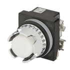 NEW ELFIN SRL - NEW030RPLSBFAFC24 PULS.LUM.SCHERM.BIANCO NO+NC LED24V