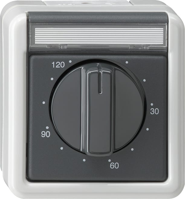 GIRA GIR032130 Zeitsch. 2-p 120 min BSF WG AP Grau