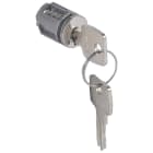 LEGRAND LEG034785 WH3008-BLIZZARDP CILINDRO CON CHIAVE 421