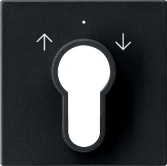 GIRA - GGI0664005 Abd. Schlusselschalter/-taster System 55
