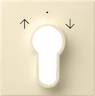GIRA - GGI066401 Abd. Schlusselschalter/-taster System 55
