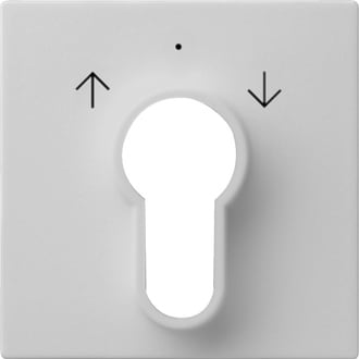 GIRA - GGI0664015 COPERT. INT./PS.A CHIAVE SYSTEM 55 GRIGI