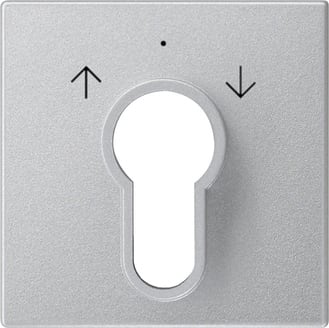 GIRA - GGI066426 Abd. Schlusselschalter/-taster System 55