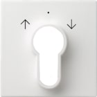 GIRA GGI066427 Abd. Schlusselschalter/-taster System 55