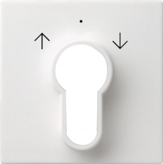 GIRA - GGI066427 COPERT. INT./PS.A CHIAVE SYSTEM 55 BNC P