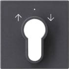 GIRA GGI066428 Abd. Schlusselschalter/-taster System 55