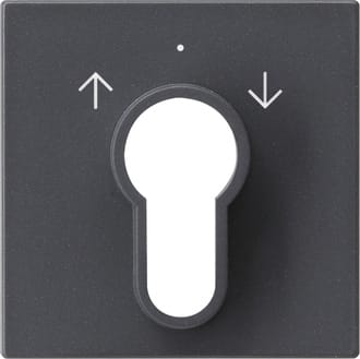 GIRA - GGI066428 Abd. Schlusselschalter/-taster System 55