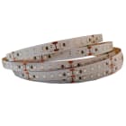 ELCOM SRL - EOW06666 STRIP 120LED/M 24W/M ROSSO IP20