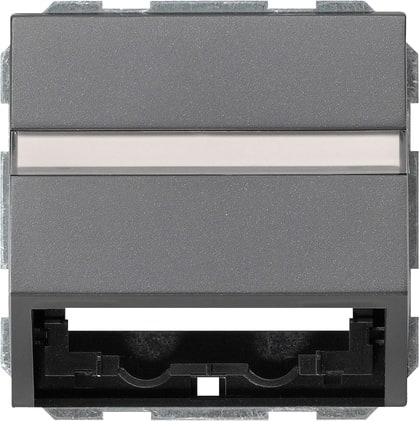 GIRA - GGI087028 Datenhaube Tragring + BSF System 55 Anth