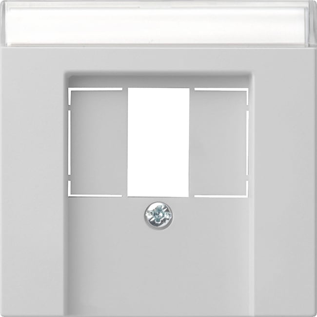 GIRA - GIR0876015 Abd. BSF TAE USB System 55 Grau m